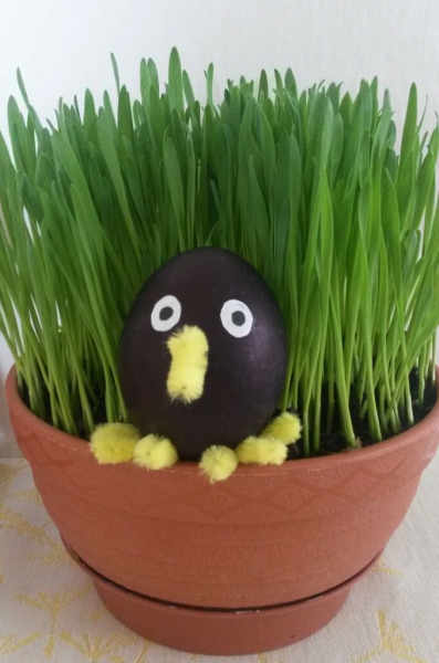 náhodný kos