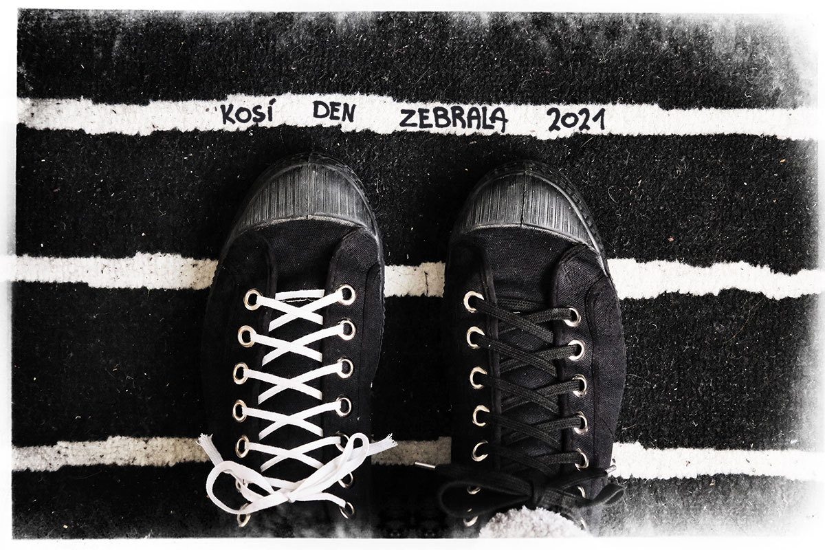 Kos&iacute; den zebrala 2021