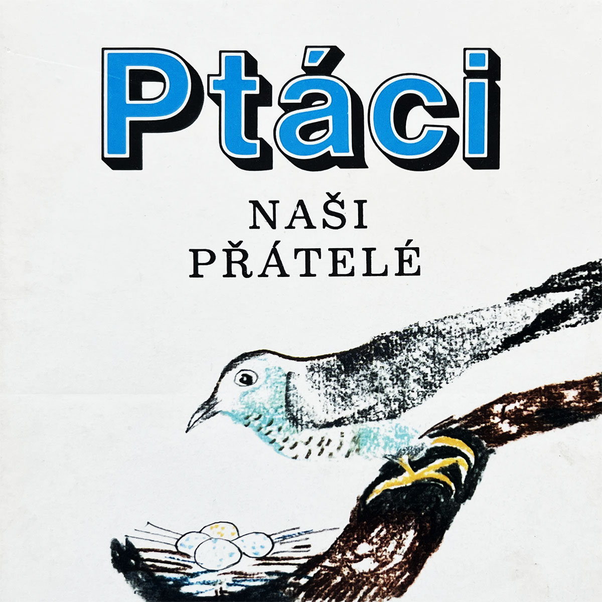 Ptáci - naši přátelé