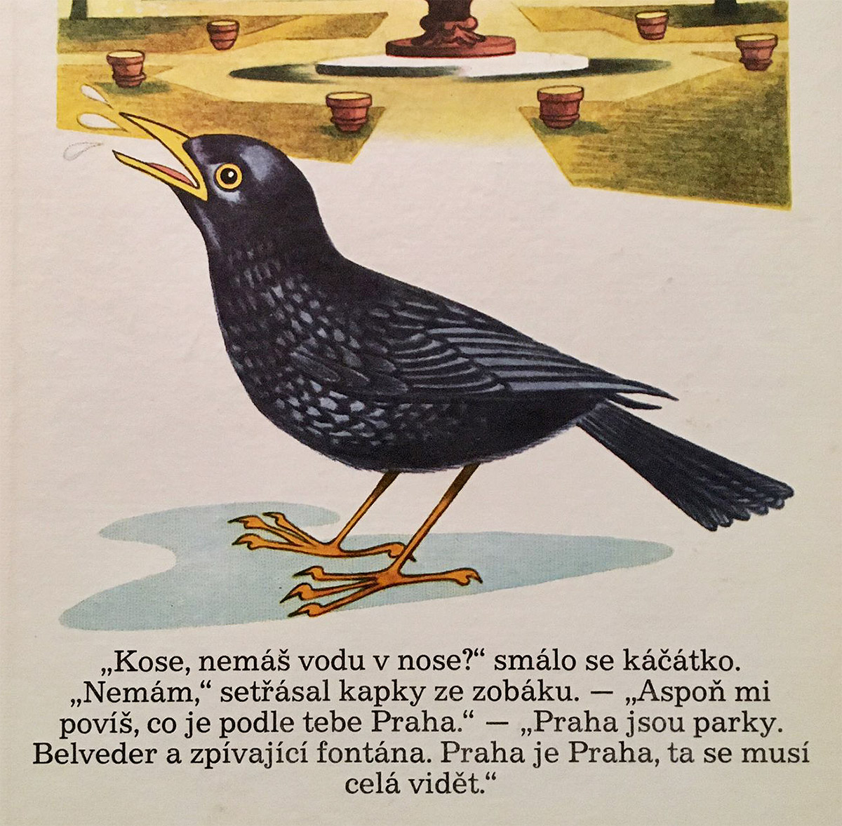 Zvědavé káčátko