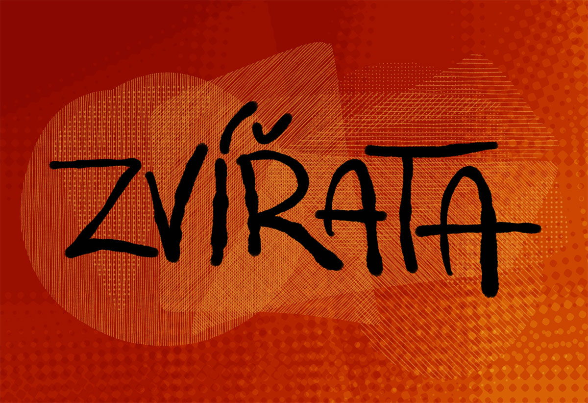 Zvířata